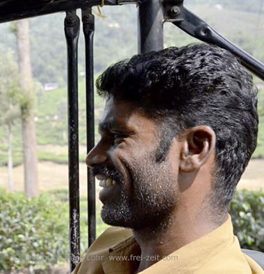 Tea Plantation, Thekkady_DSC7454_H600